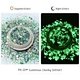 Luminous Chunky Glitter
